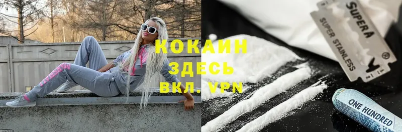 Cocaine FishScale  закладка  Апрелевка 